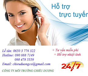 Hỗ trợ trực tuyến
